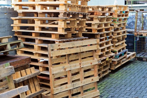 Assessing a garden clearance job before providing a free quote